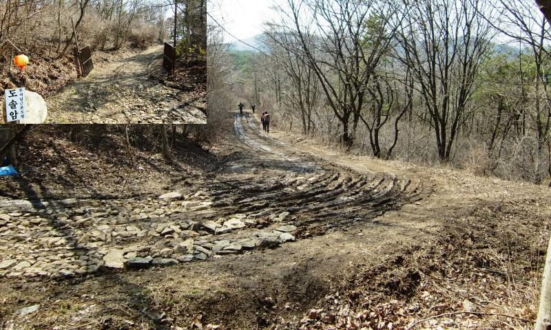 서오리 이미지