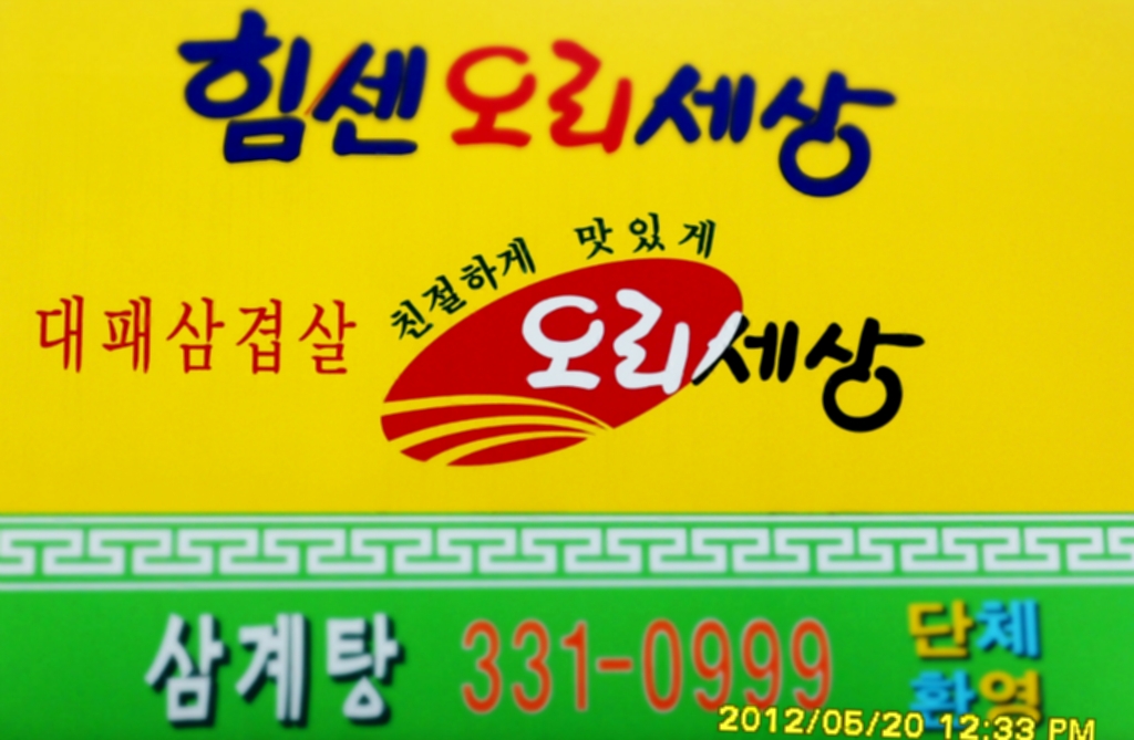 오리세상 이미지