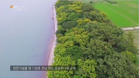 바다를 여행하는 씨앗 | 인스티즈
