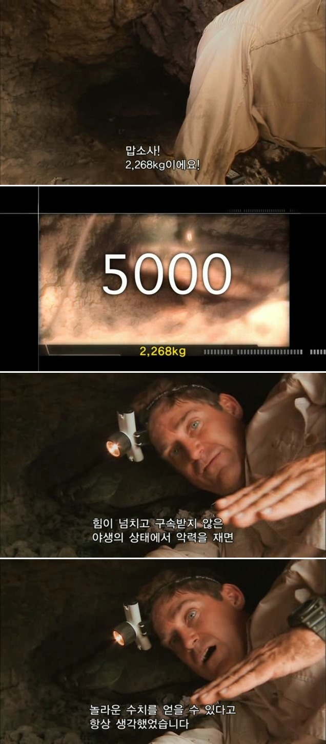 최강의 이빨을 가진 동물.jpgif | 인스티즈