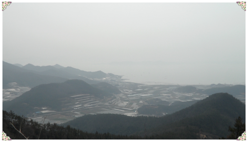 보성녹차리조트 이미지