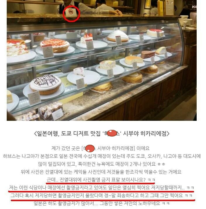 하지 말라는건 꼭 하는 사람들 | 인스티즈