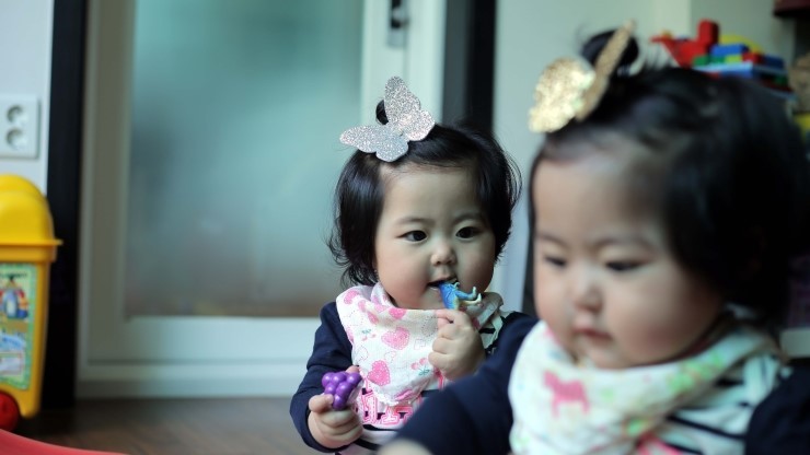 라라율 이미지