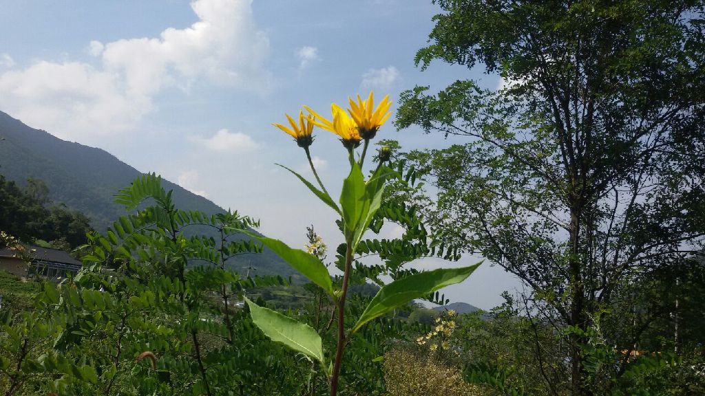 이뻐유 이미지