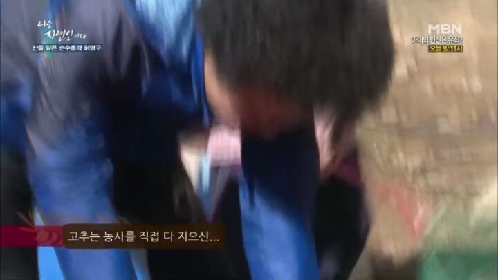 나는 자연인이다 말벌킬러 허명구씨ㅋㅋㅋㅋㅋㅋ | 인스티즈