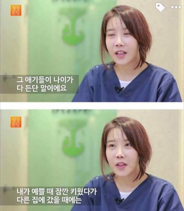 강아지나 고양이를 키우려는 사람들에게 | 인스티즈