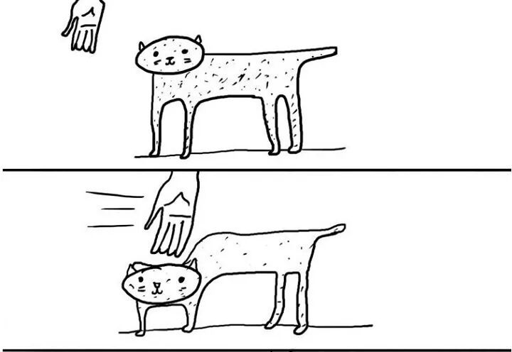 냥이 만질 때 공감.jpg | 인스티즈