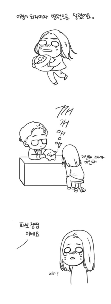 강아지 분양 사기 문제 (다음 웹툰 대새녀 그린 여은 작가) | 인스티즈
