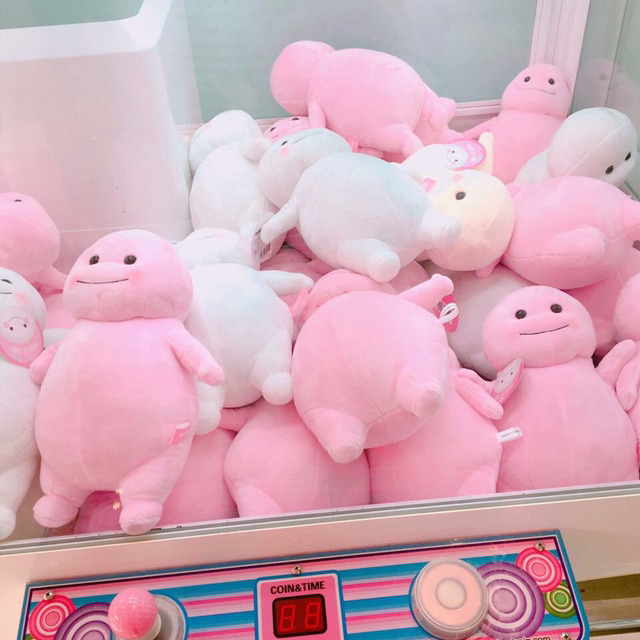 홍대의 인형자판기 | 인스티즈