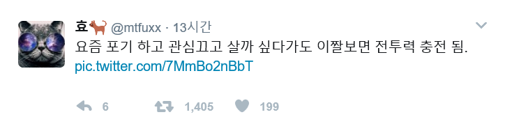 기운 빠져있다가 전투력 의지 급상승되는 사진 한 장 | 인스티즈