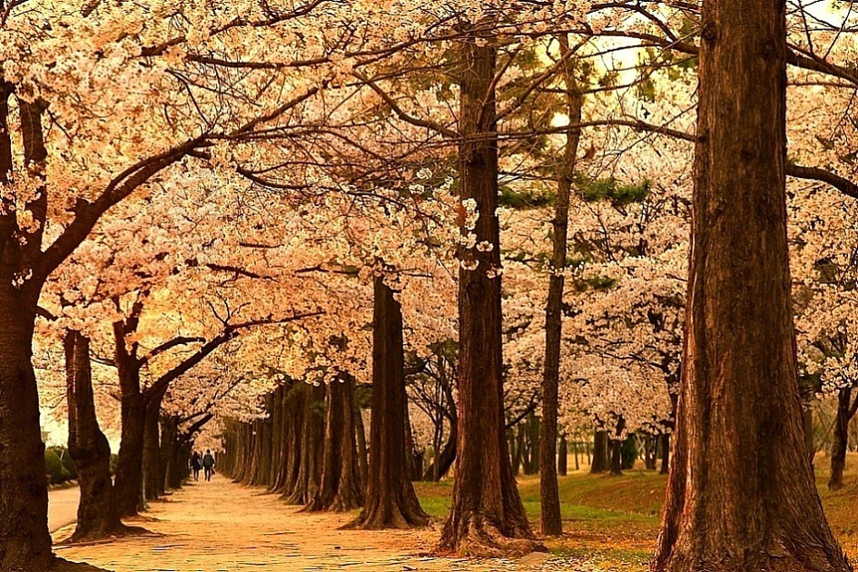 살기좋은도시로 자주 언급되는곳 | 인스티즈