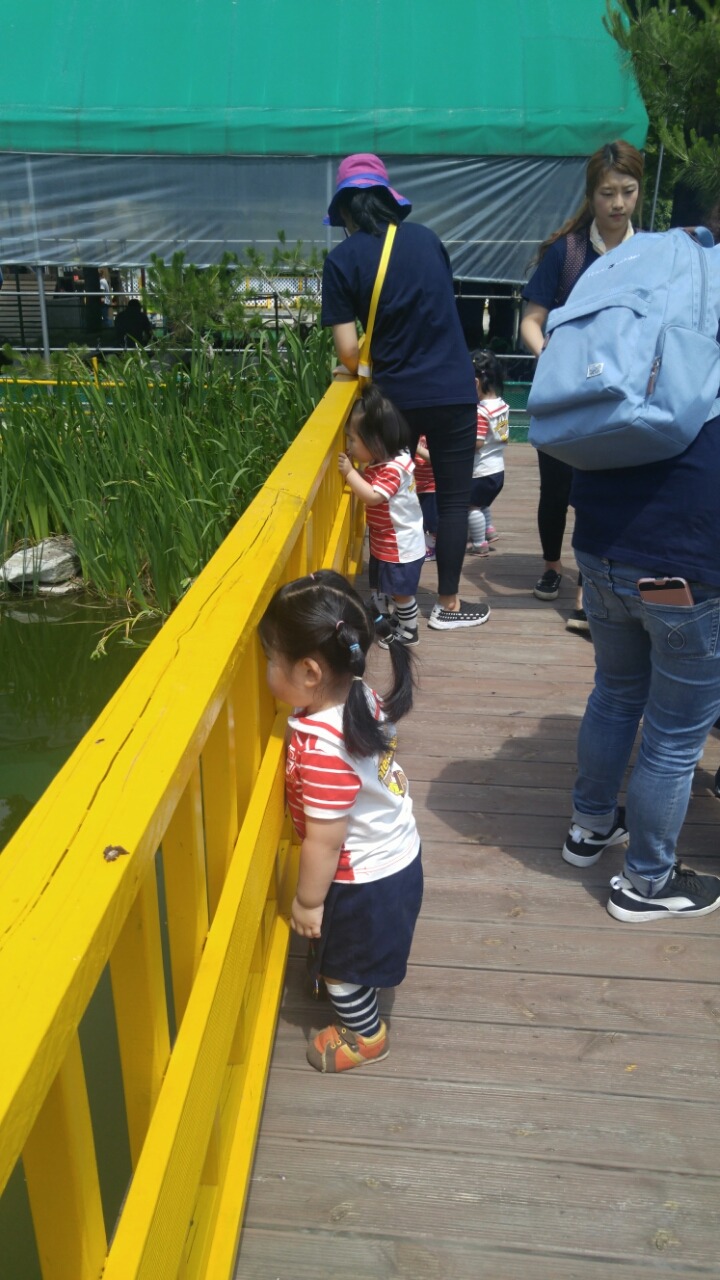 늘노리자연학교 이미지