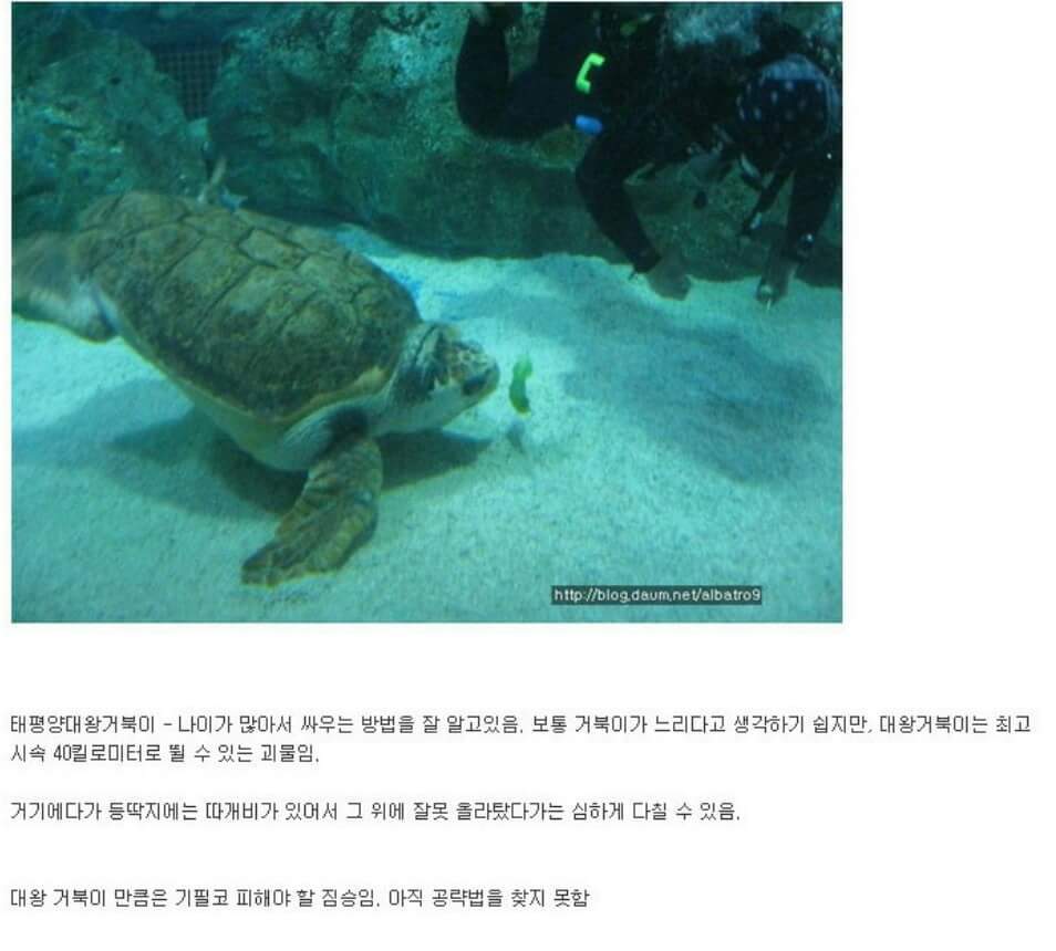 동물이랑 1대1로 싸워서 이기는 방법 개꿀팁. jpg | 인스티즈