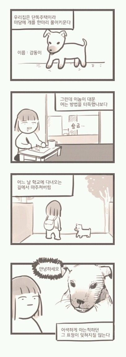 길에서 만난 우리 강아지 | 인스티즈