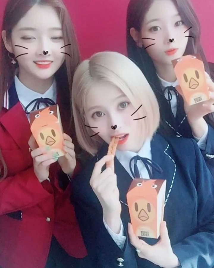 예빈 이미지