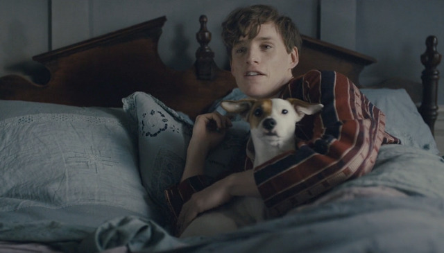 The Danish Girl ,대니쉬 걸 (2015) | 인스티즈