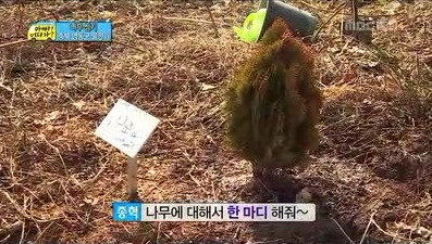 [아빠어디가] 이종혁아들 이준수가 10준수가 된 이유 ㅋㅋㅋ.jpg | 인스티즈