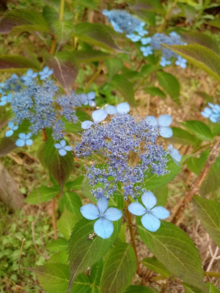 청소반장 이미지