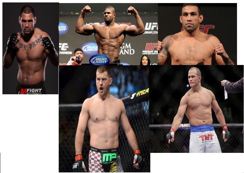 인간팀 vs 동물팀 패싸움 승자를 고르시오 .jpg | 인스티즈