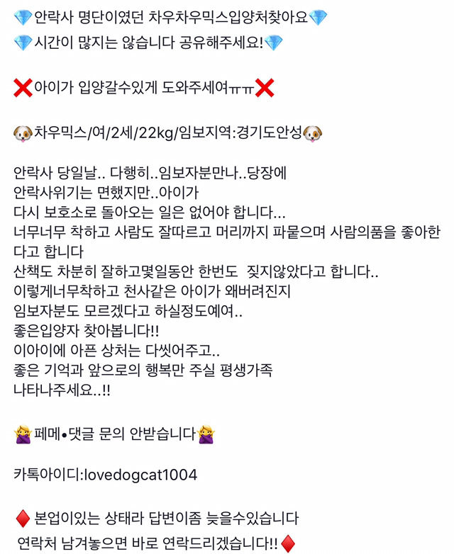 안락사 위기인 애들 보구가줘!!ㅠㅠ | 인스티즈