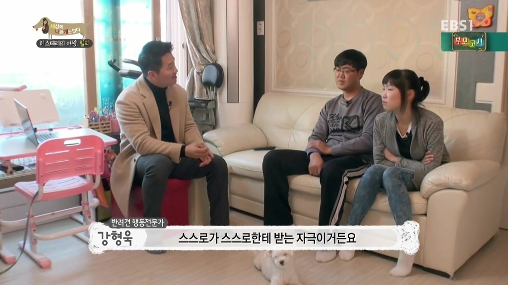 [세상에나쁜개는없다] 가족들에게 짖고 무는 강아지 릴리햏 | 인스티즈