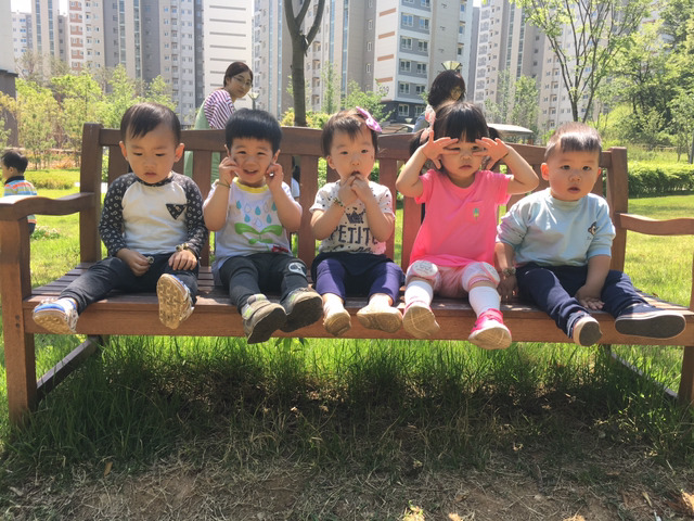 다모숲 이미지