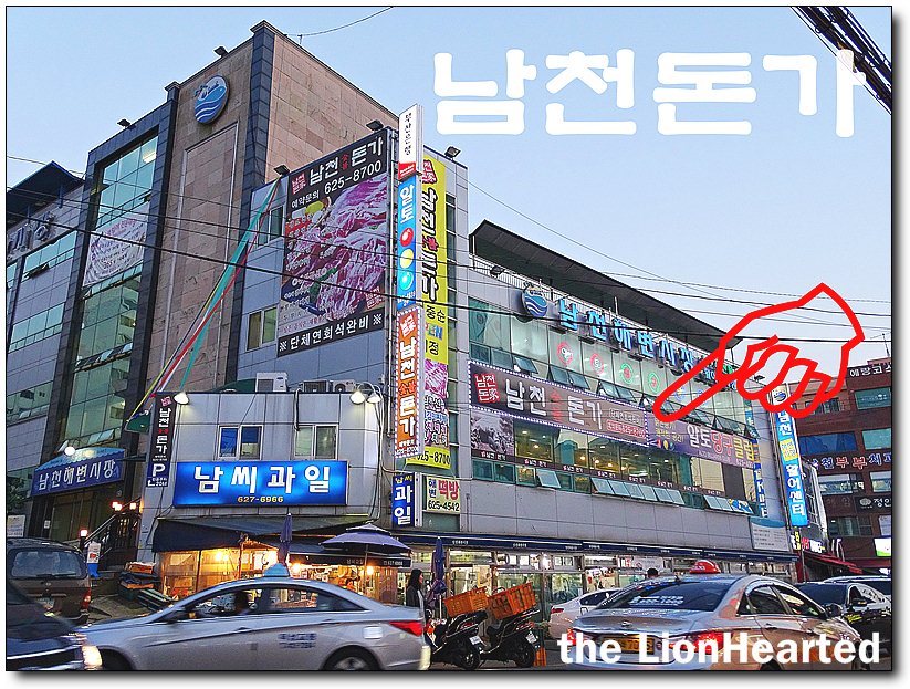 해변의돼지 이미지