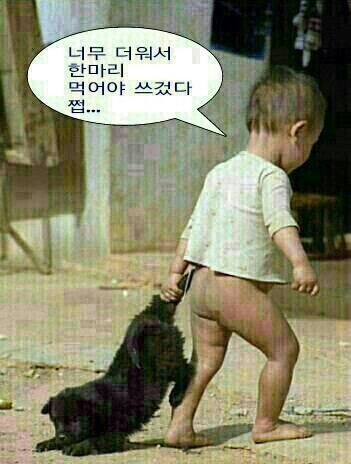 참 이미지