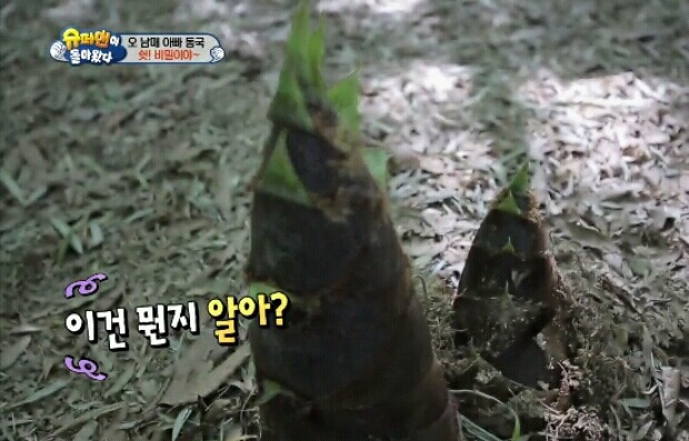 [슈퍼맨이돌아왔다] 수아의 비밀 고백 | 인스티즈