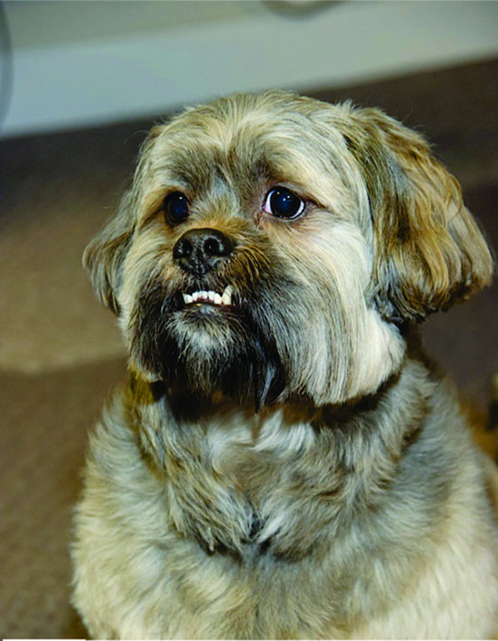 220535355602AC0201AF6D