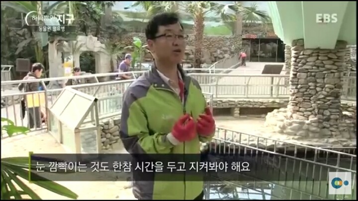 동물원 동물들이 월요병 생기는 이유 | 인스티즈
