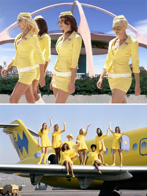 세계의 항공사들 | 인스티즈