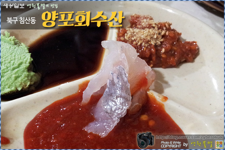 동네수산 이미지