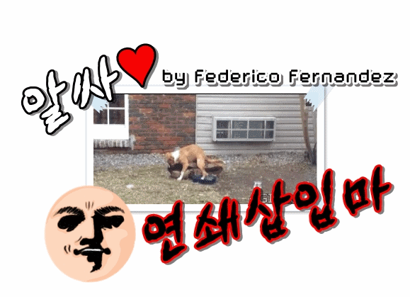 위대한 SF영화 모음.gif | 인스티즈