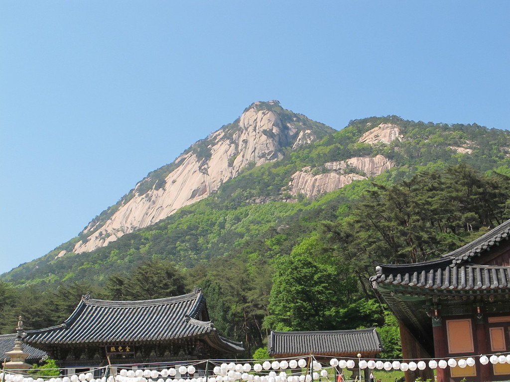 (유)한마음고속관광 이미지