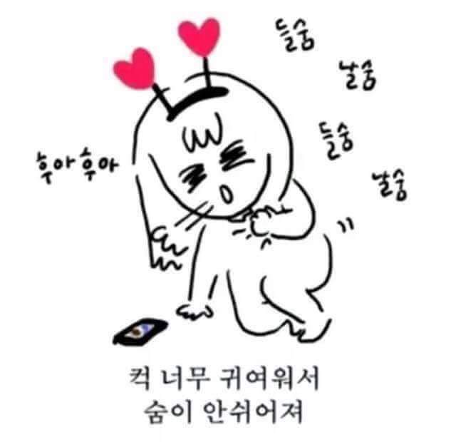 희광고 이미지