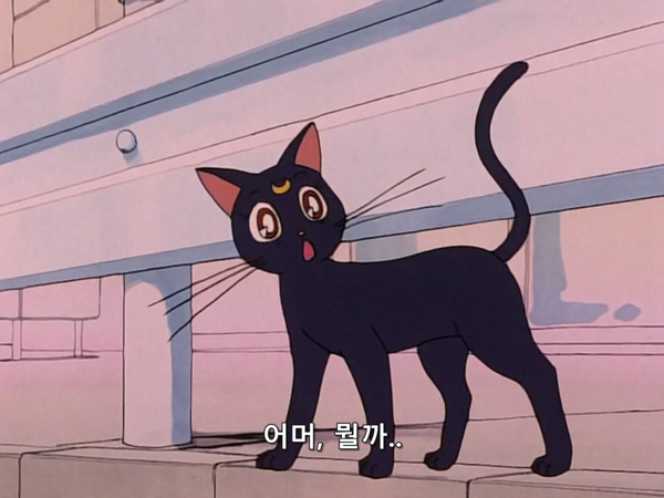 미소녀 전사 세일러문 (美少女戦士セーラームーン) 03 | 인스티즈