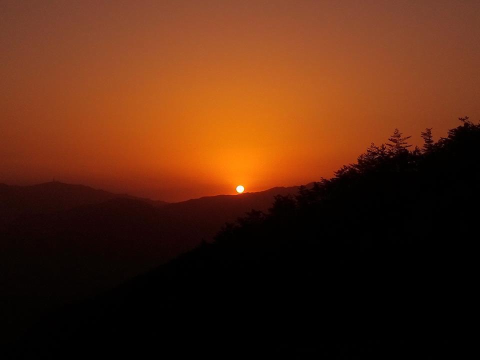 224F8D49590FD79B347A80