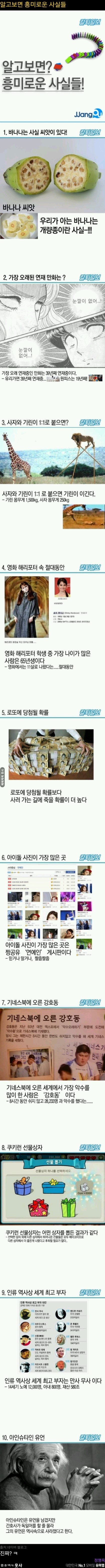 알고보면 흥미로운 사실들 | 인스티즈