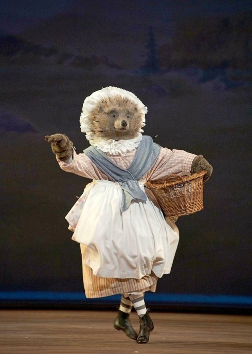 동화를 발레로 영국 로열 발레단의 ＜ tales of beatrix potter ＞ | 인스티즈