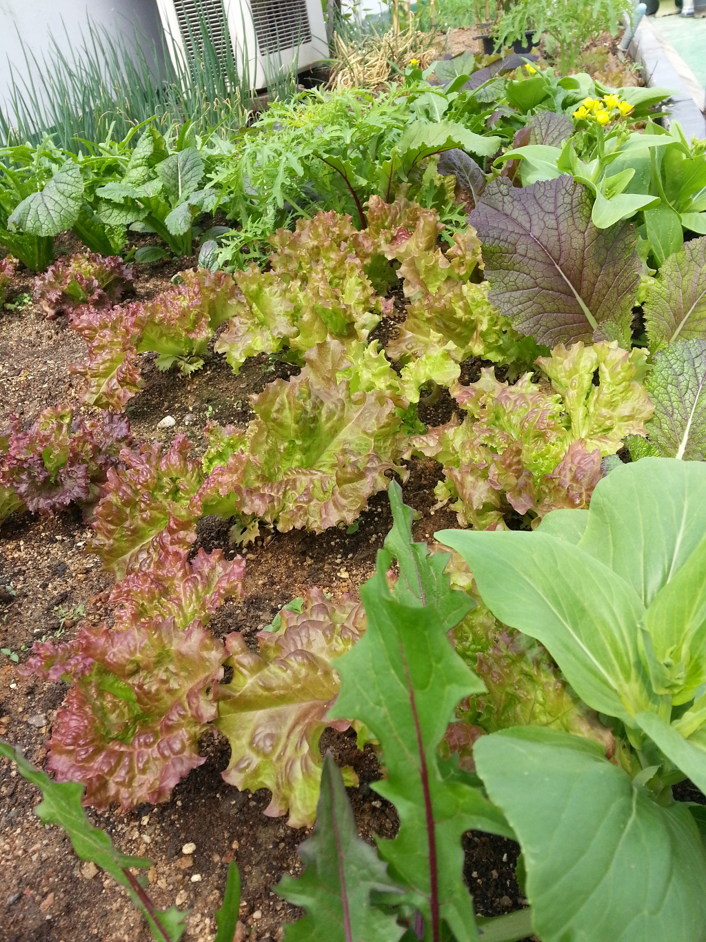 맛있는식탁 이미지