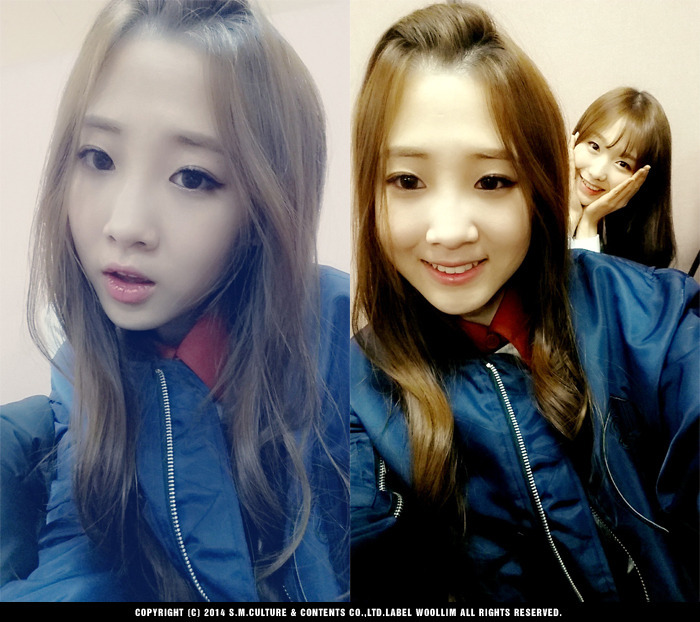 하시 이미지