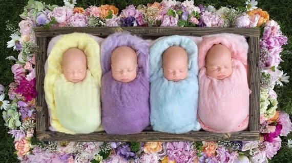 캐나다에서 태어난 일란성 네쌍둥이 | 인스티즈