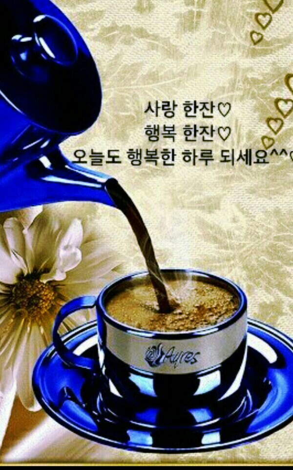 피 이미지
