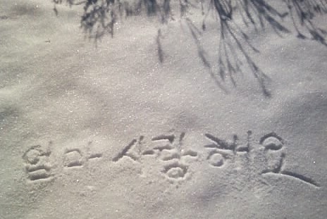 신한장 이미지