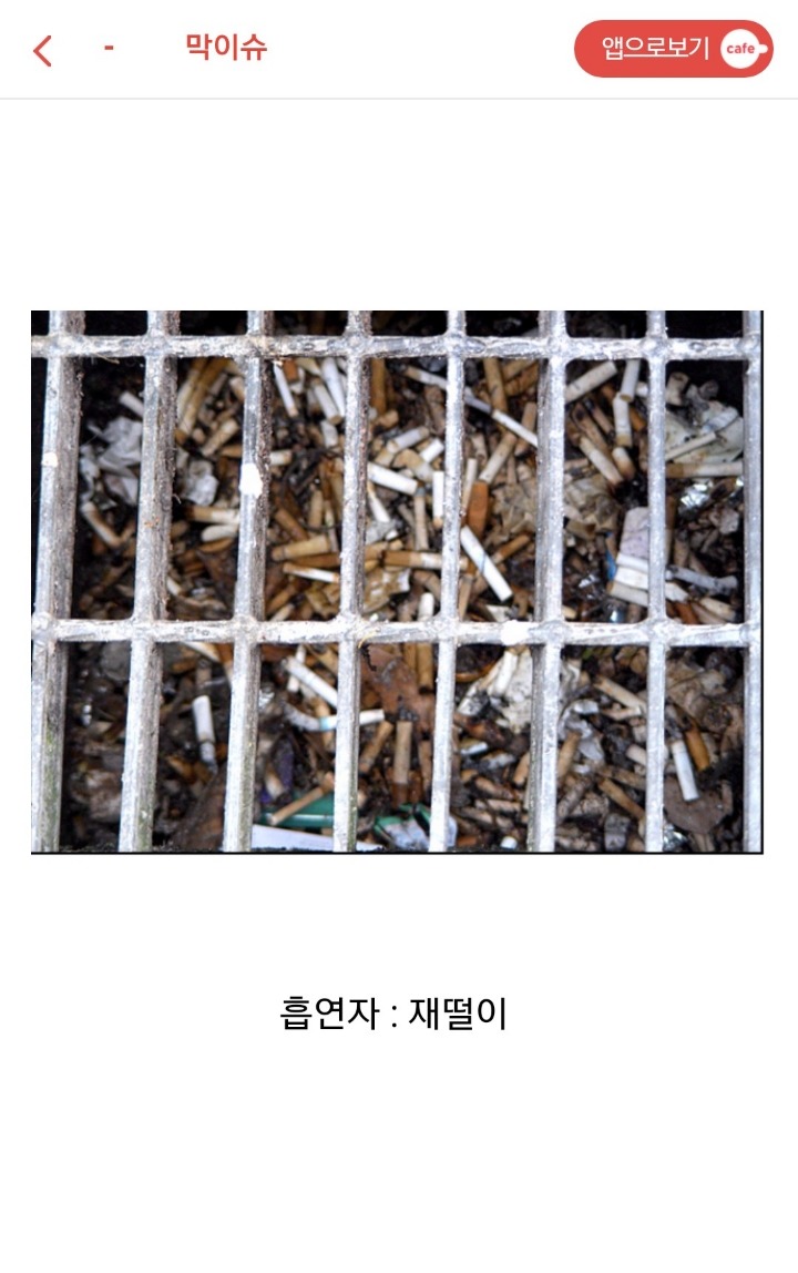 흡연자들이 시룸인 이유....jpg | 인스티즈