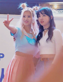 트와이스 케미 폭발.gif | 인스티즈