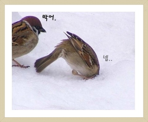 팀로드 이미지