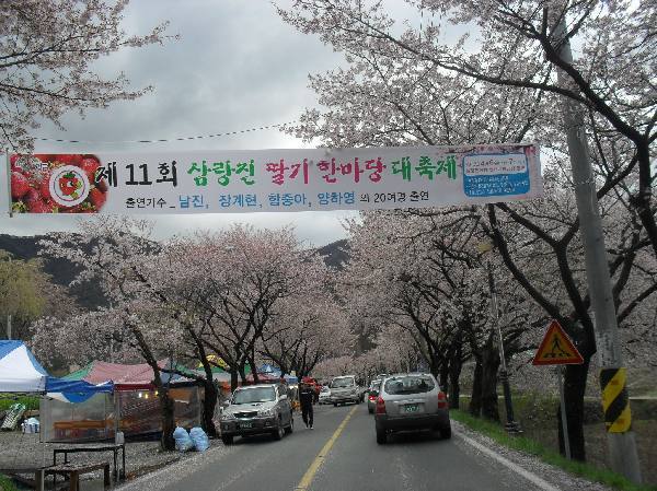 사랑하는사람과함께떠나는 국내 최고의 벚꽃드라이브코스들 | 인스티즈