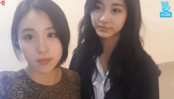 귀여운 트와이스 막내들 | 인스티즈